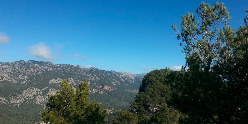 utsikt Mallorca 850px