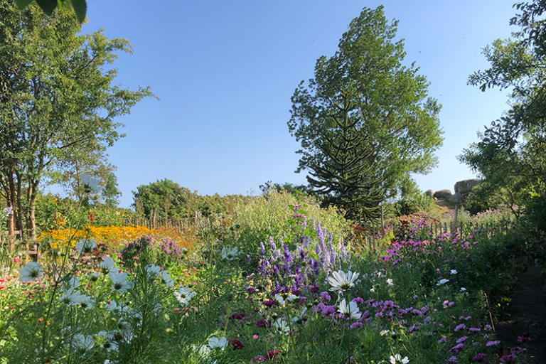 Erkes trädgård i juli